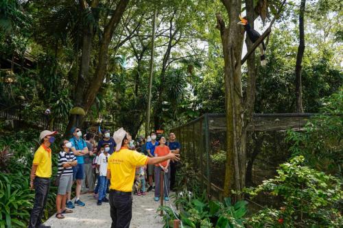 birds Place at Kuala Lumpur, Malaysia