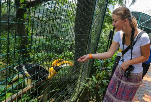 Kuala,Lumpur,,Malaysia,Tourist,Feeding,Rhinoceros,Hornbill